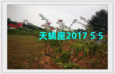 天蝎座2017 5 5